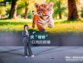 海信发布世界杯定制冰箱 海信璀璨650U8以真空磁场技术领跑保鲜赛道